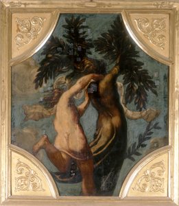 Apolo y Dafne, octágono de Jacopo Robusti Tintoretto